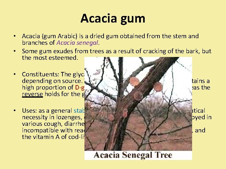 Acacia gum • Acacia (gum Arabic) is a dried gum obtained from the stem