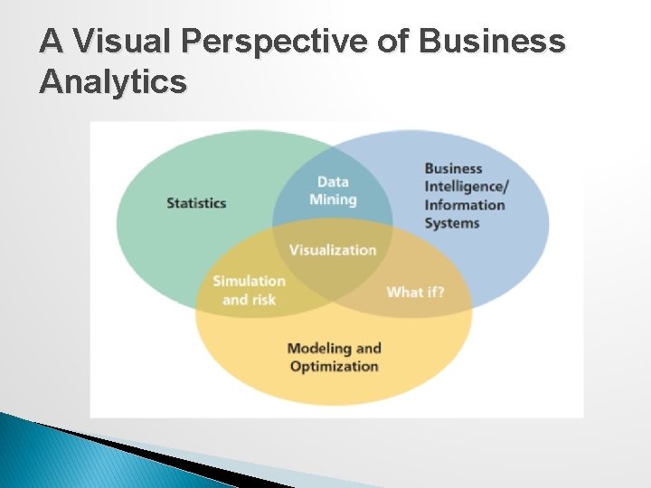 A Visual Perspective of Business Analytics 