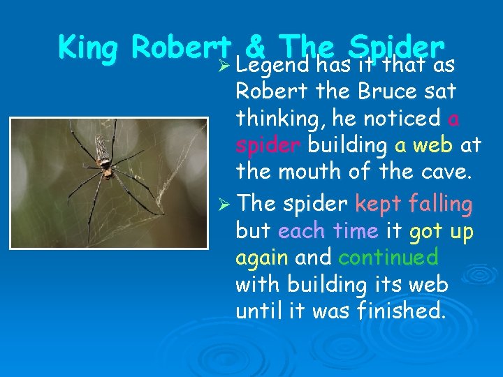 King RobertØ Legend & The Spider has it that as Robert the Bruce sat