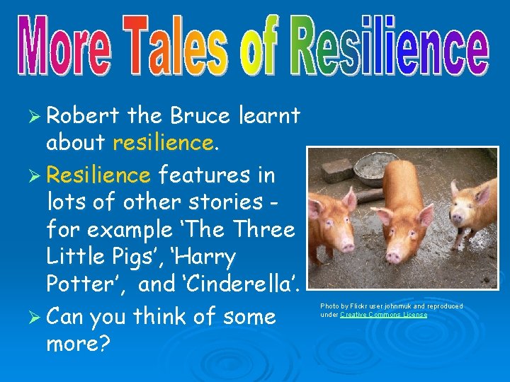 Ø Robert the Bruce learnt about resilience. Ø Resilience features in lots of other