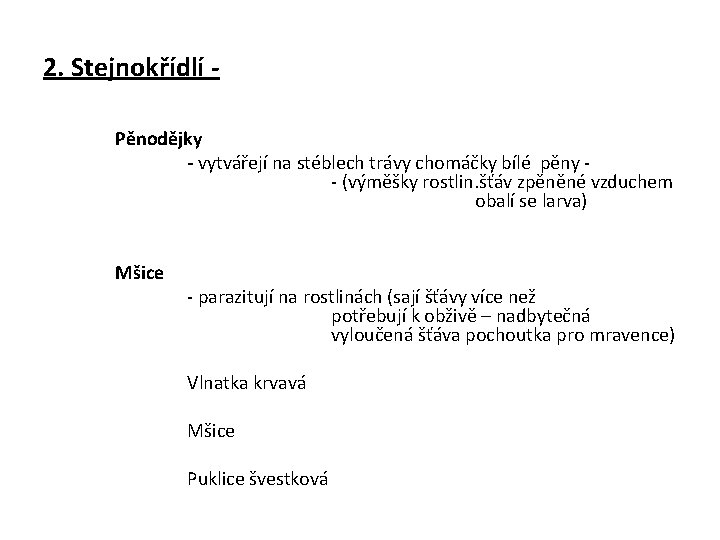 2. Stejnokřídlí Pěnodějky - vytvářejí na stéblech trávy chomáčky bílé pěny - (výměšky rostlin.