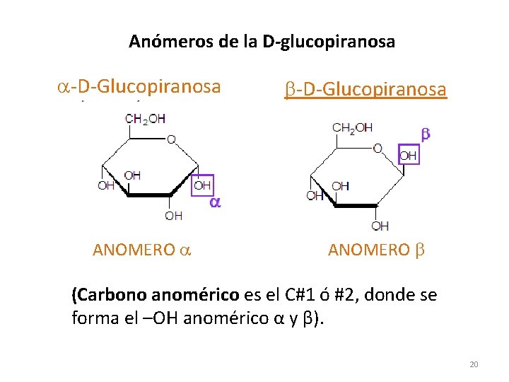  Anómeros de la D-glucopiranosa a-D-Glucopiranosa ANOMERO a b-D-Glucopiranosa ANOMERO b (Carbono anomérico es
