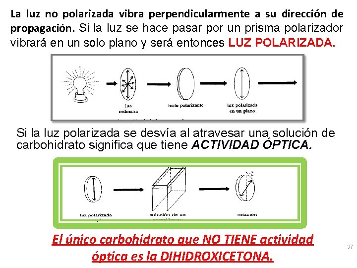 La luz no polarizada vibra perpendicularmente a su dirección de propagación. Si la luz