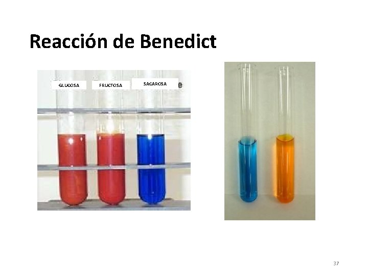 Reacción de Benedict GLUCOSA FRUCTOSA SACAROSA 37 