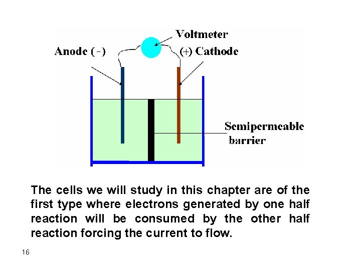 The cells we will study in this chapter are of the first type where