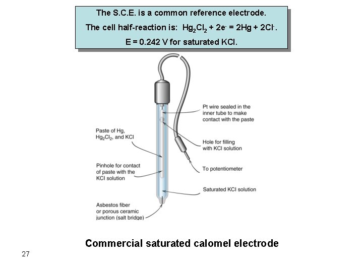 The S. C. E. is a common reference electrode. The cell half-reaction is: Hg