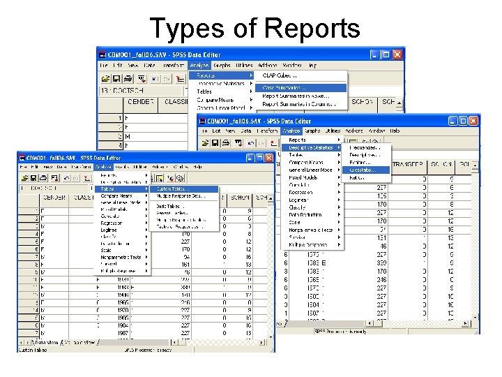 Types of Reports 