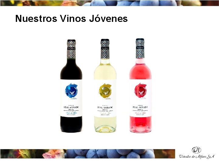 Nuestros Vinos Jóvenes 