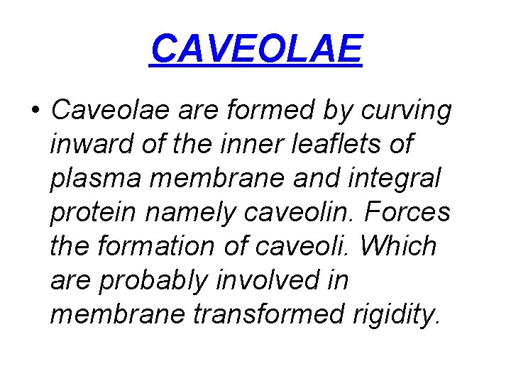 CAVEOLAE • Caveolae are formed by curving inward of the inner leaflets of plasma