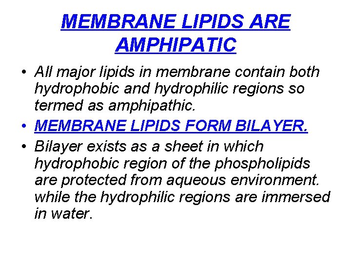 MEMBRANE LIPIDS ARE AMPHIPATIC • All major lipids in membrane contain both hydrophobic and