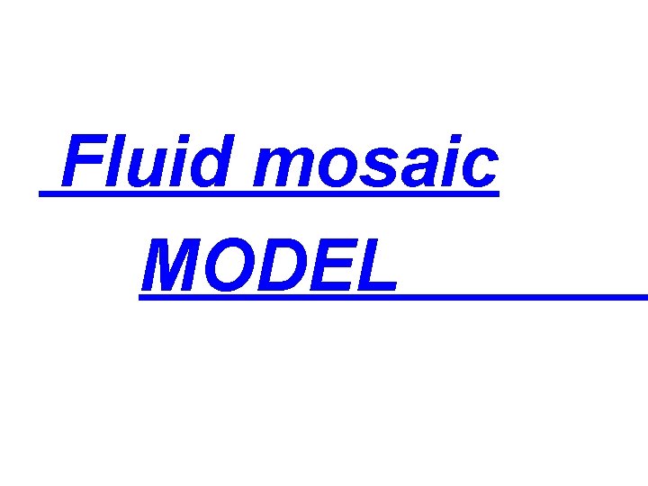 Fluid mosaic MODEL 