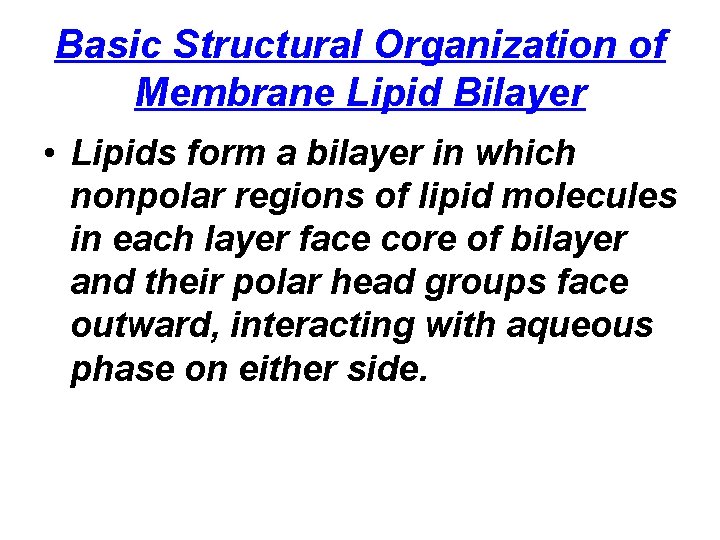 Basic Structural Organization of Membrane Lipid Bilayer • Lipids form a bilayer in which