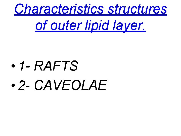 Characteristics structures of outer lipid layer. • 1 - RAFTS • 2 - CAVEOLAE