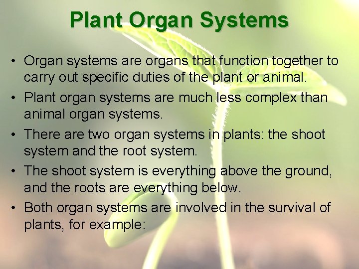 Plant Organ Systems • Organ systems are organs that function together to carry out