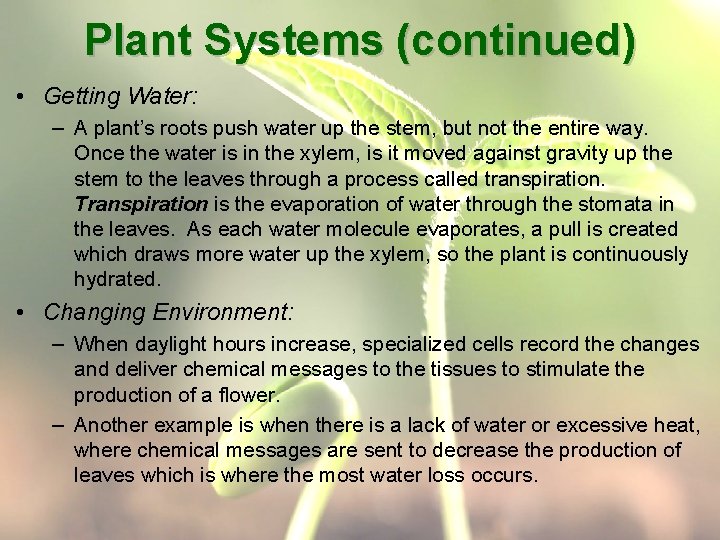 Plant Systems (continued) • Getting Water: – A plant’s roots push water up the