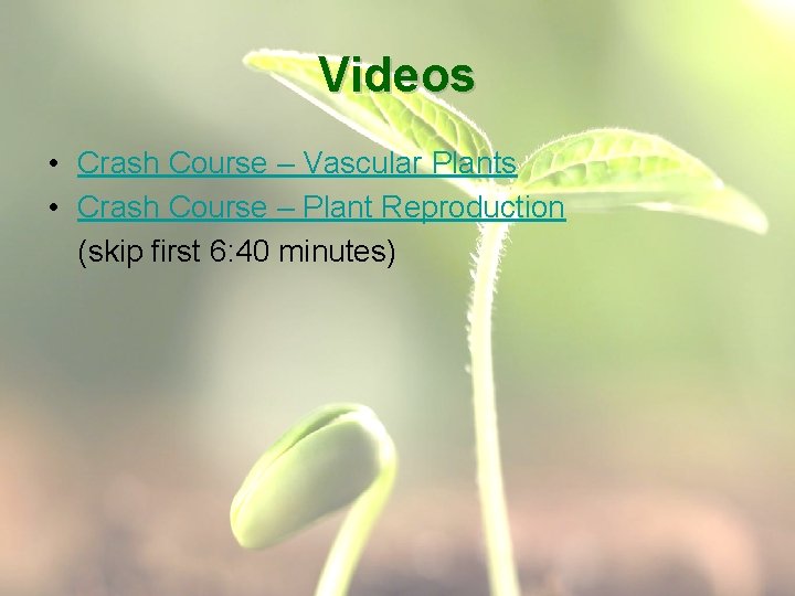 Videos • Crash Course – Vascular Plants • Crash Course – Plant Reproduction (skip
