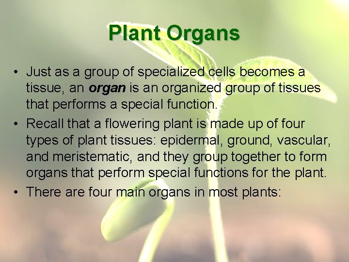 Plant Organs • Just as a group of specialized cells becomes a tissue, an