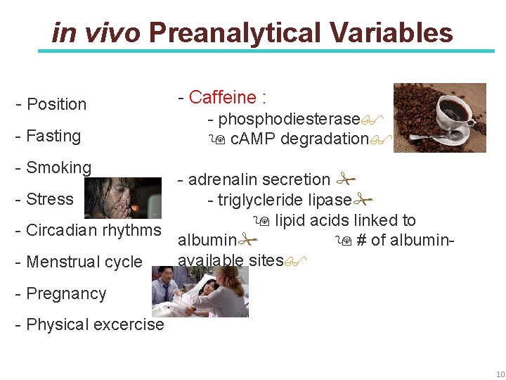 in vivo Preanalytical Variables - Position - Fasting - Caffeine : - phosphodiesterase c.