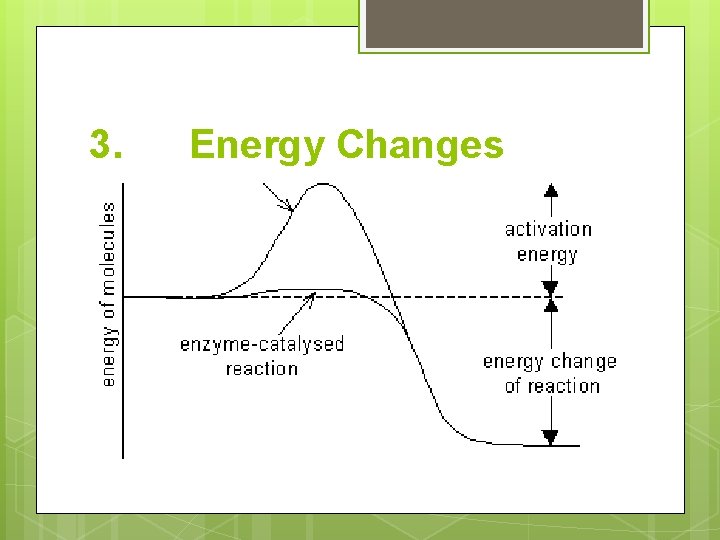 3. Energy Changes 