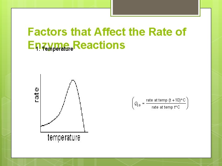 Factors that Affect the Rate of Enzyme Reactions 1. Temperature 