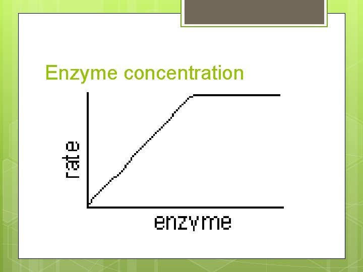 Enzyme concentration 