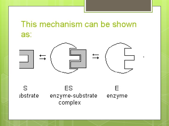This mechanism can be shown as: 