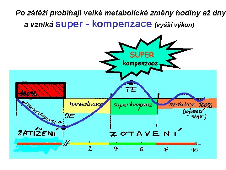 Po zátěži probíhají velké metabolické změny hodiny až dny a vzniká super - kompenzace