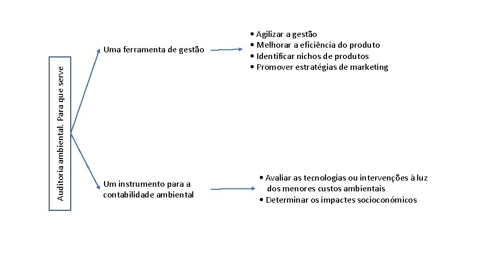 Auditoria ambiental. Para que serve Uma ferramenta de gestão Um instrumento para a contabilidade