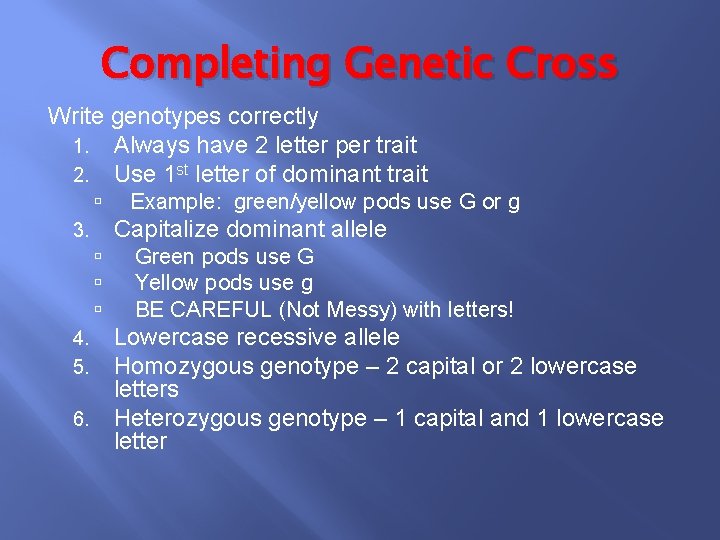 Completing Genetic Cross Write genotypes correctly 1. Always have 2 letter per trait 2.