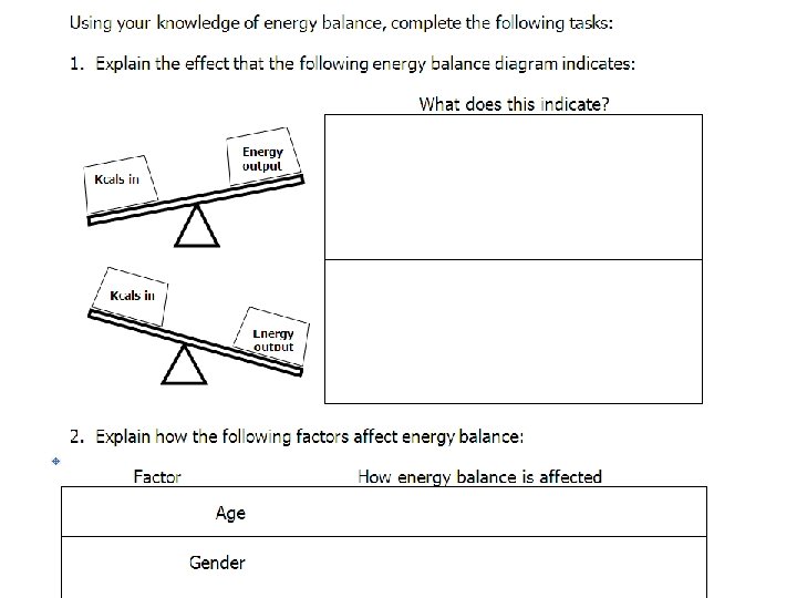 Sports Nutrition Energy Balance Kevin Browne Learning