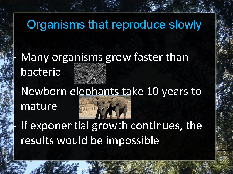 Organisms that reproduce slowly - Many organisms grow faster than bacteria - Newborn elephants