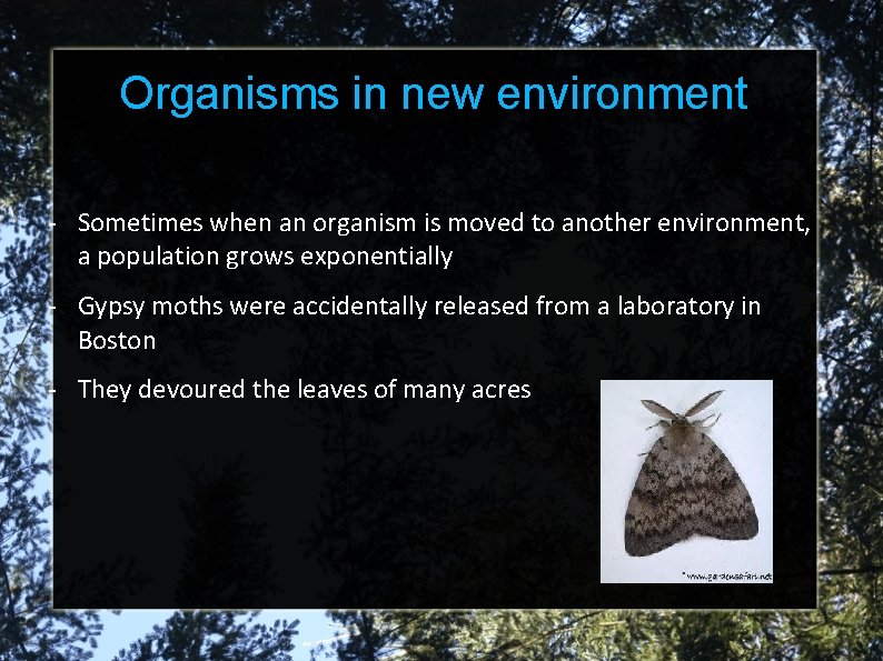 Organisms in new environment - Sometimes when an organism is moved to another environment,