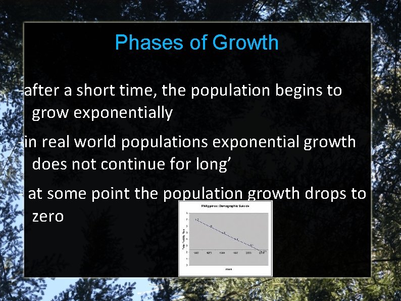 Phases of Growth -after a short time, the population begins to grow exponentially -in