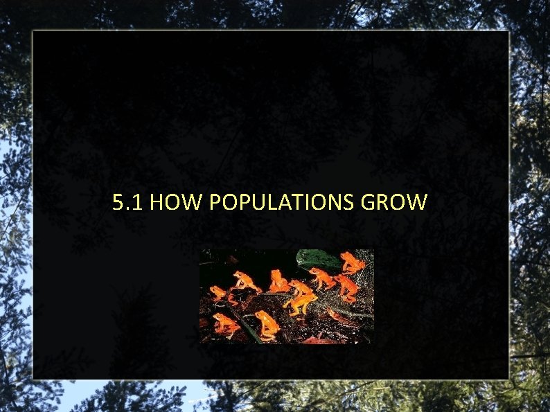 5. 1 HOW POPULATIONS GROW 