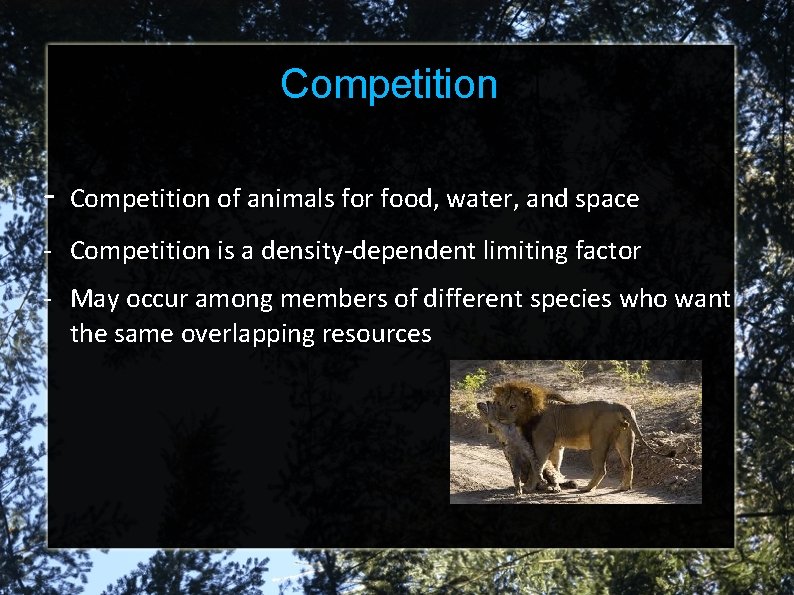 Competition - Competition of animals for food, water, and space - Competition is a