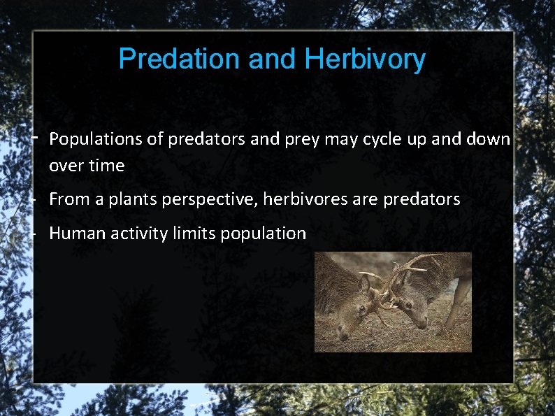 Predation and Herbivory - Populations of predators and prey may cycle up and down