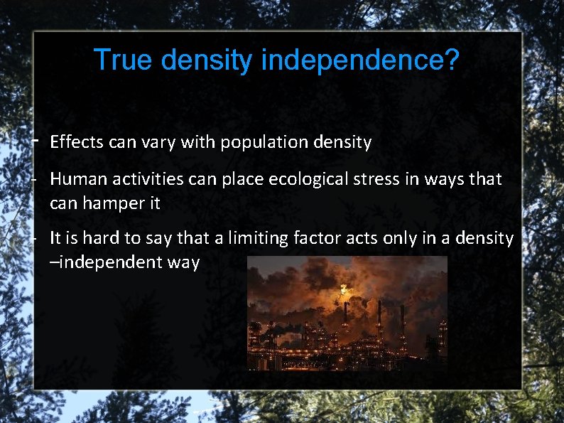 True density independence? - Effects can vary with population density - Human activities can