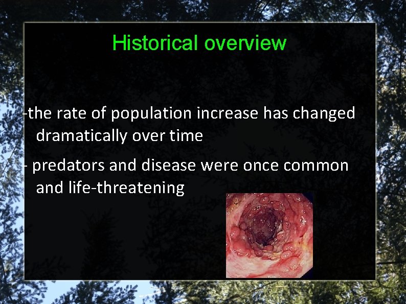 Historical overview -the rate of population increase has changed dramatically over time - predators