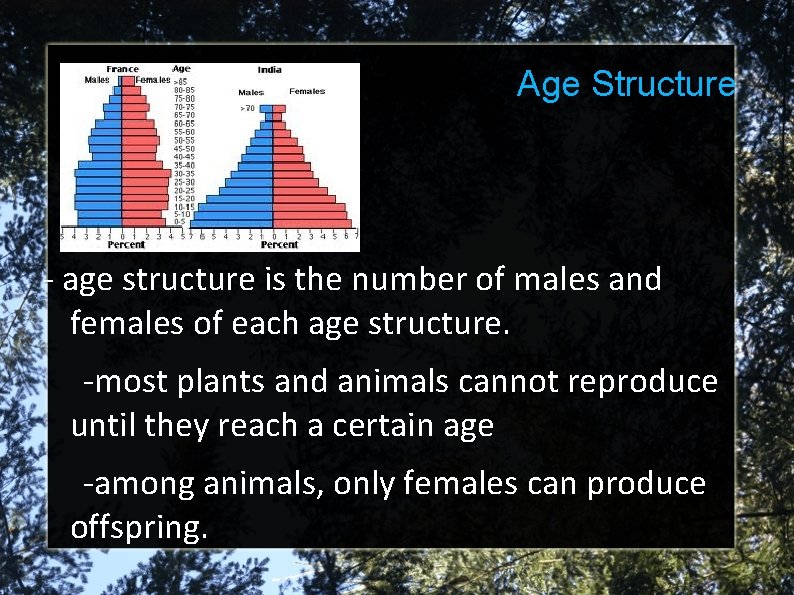 Age Structure - age structure is the number of males and females of each