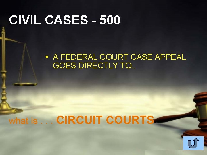 CIVIL CASES - 500 § A FEDERAL COURT CASE APPEAL GOES DIRECTLY TO. .