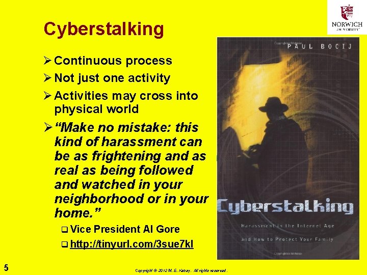 Cyberstalking Ø Continuous process Ø Not just one activity Ø Activities may cross into