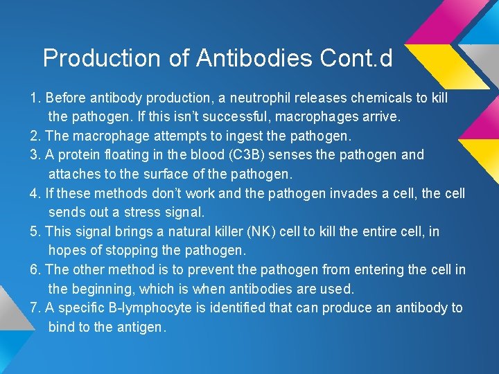 Production of Antibodies Cont. d 1. Before antibody production, a neutrophil releases chemicals to Production of Antibodies Cont. d 1. Before antibody production, a neutrophil releases chemicals to