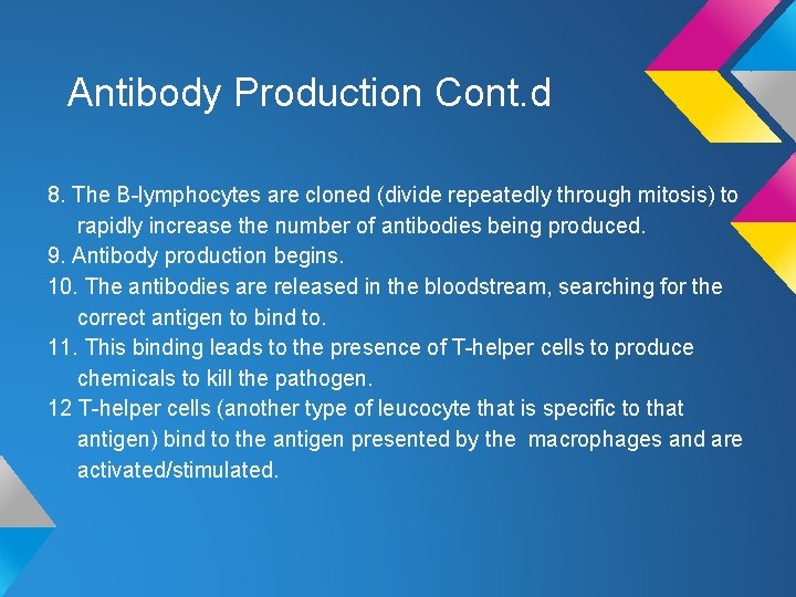 Antibody Production Cont. d 8. The B-lymphocytes are cloned (divide repeatedly through mitosis) to Antibody Production Cont. d 8. The B-lymphocytes are cloned (divide repeatedly through mitosis) to