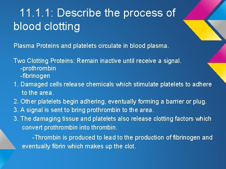 11. 1. 1: Describe the process of blood clotting Plasma Proteins and platelets circulate 11. 1. 1: Describe the process of blood clotting Plasma Proteins and platelets circulate