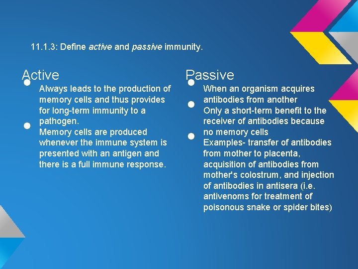 11. 1. 3: Define active and passive immunity. Active • • Always leads to 11. 1. 3: Define active and passive immunity. Active • • Always leads to
