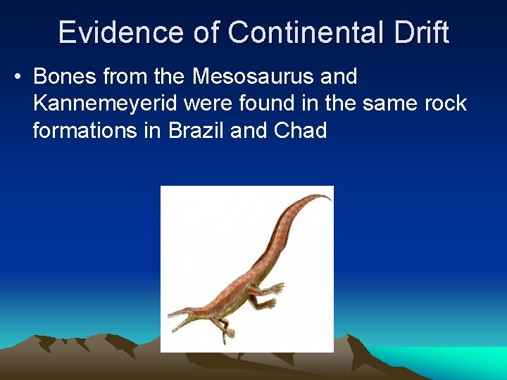 Evidence of Continental Drift • Bones from the Mesosaurus and Kannemeyerid were found in