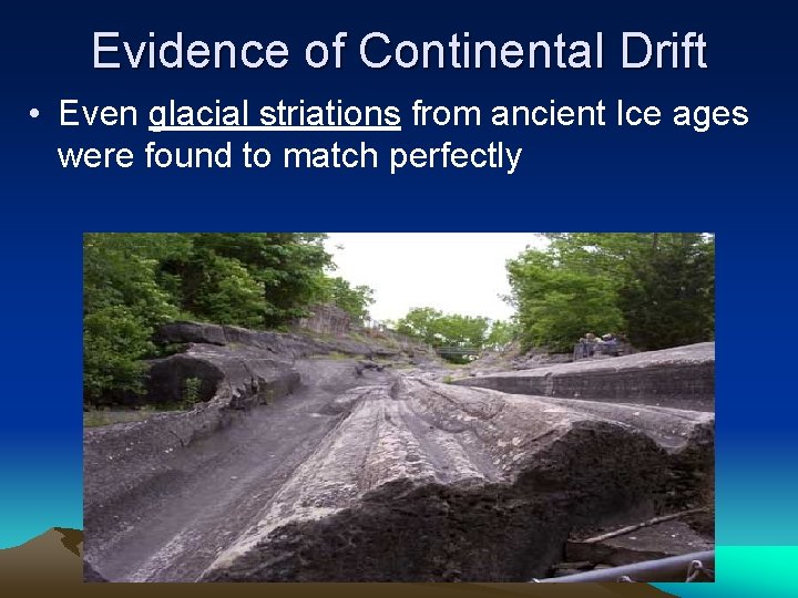 Evidence of Continental Drift • Even glacial striations from ancient Ice ages were found
