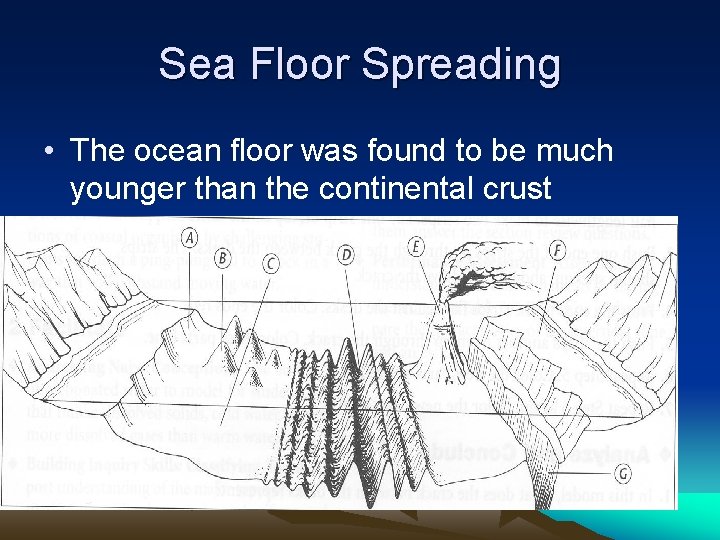 Sea Floor Spreading • The ocean floor was found to be much younger than