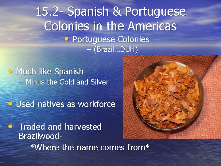 15. 2 - Spanish & Portuguese Colonies in the Americas • Portuguese Colonies –