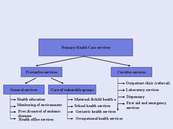 Primary Health Care services Preventive services Curative services Outpatient clinic (referral) General services Care